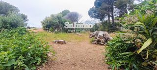Finca rústica a SAL