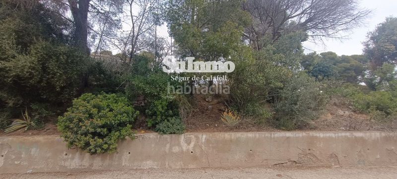 Foto 614541ad-fcba-4f6a-abf7-b89669e0a6c1. Finca rústica a Segur de Calafell nucli urbà Segur de Calafell