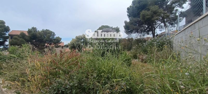 Foto b35ee19c-f121-4742-ad63-4a8531f92222. Finca rústica a Segur de Calafell nucli urbà Segur de Calafell