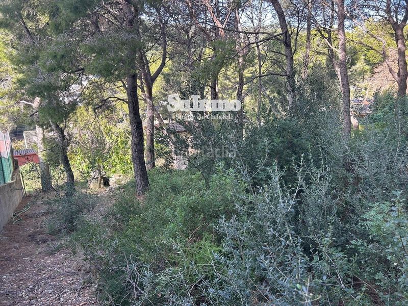 Foto e541c6dd-069b-4e79-97aa-07ab1e092af8. Finca rústica a Segur de Calafell nucli urbà Segur de Calafell