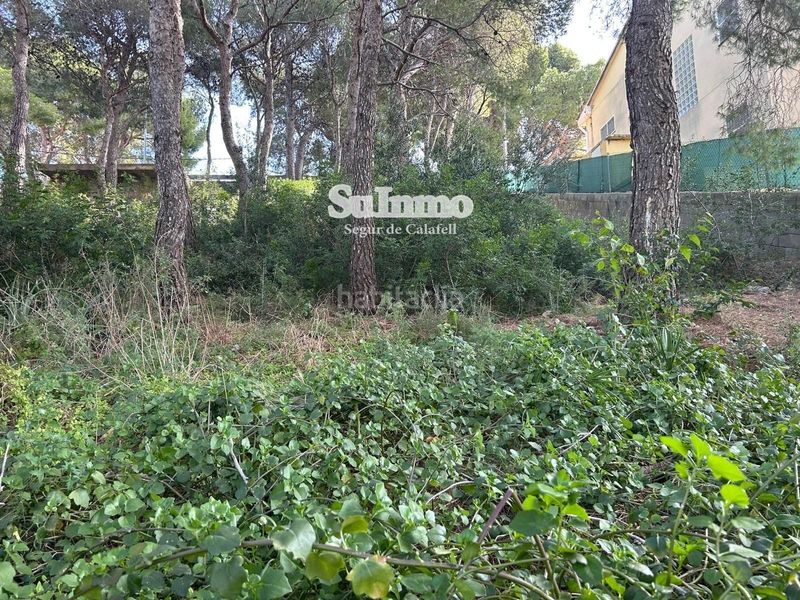 Foto f8bae8bd-df3a-42f4-bf5a-50a95fb7394a. Finca rústica a Segur de Calafell nucli urbà Segur de Calafell