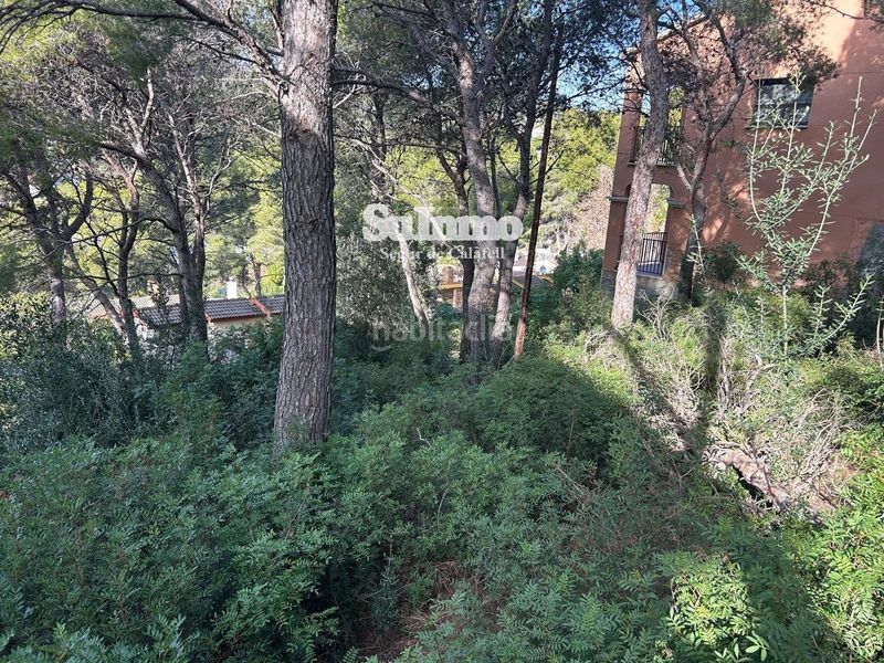 Foto f913ab0f-1c0d-46c3-9bd3-9fd73ab3b9cf. Finca rústica a Segur de Calafell nucli urbà Segur de Calafell