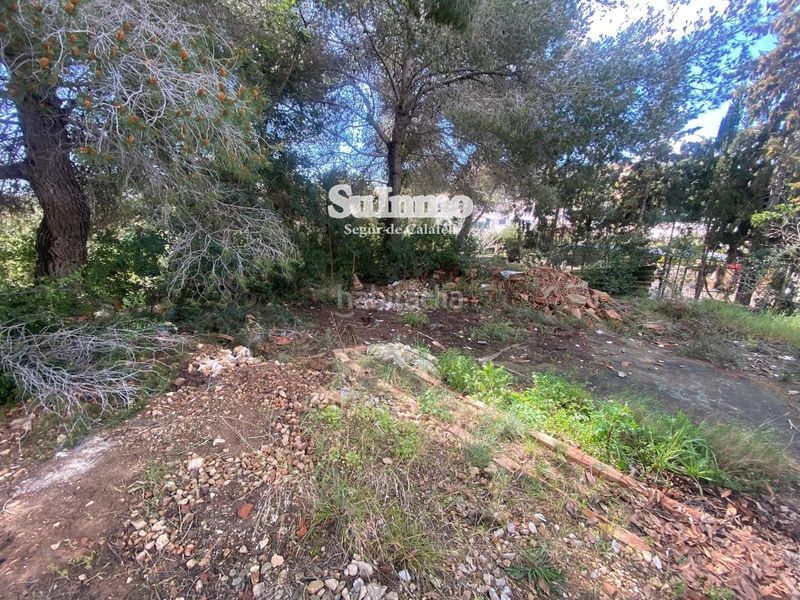 Foto 4859a0f8-a378-4893-9dbb-0880d66a62ba. Finca rústica a Valldemar-Montmar Segur de Calafell