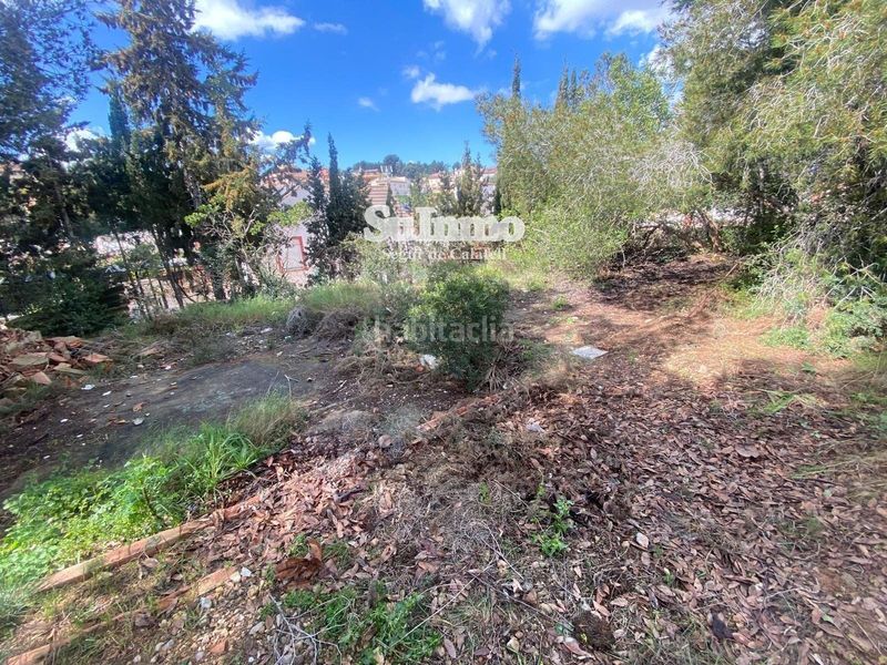 Foto 51dd52d0-bce1-4ceb-8529-3e2274d6cb51. Finca rústica a Valldemar-Montmar Segur de Calafell