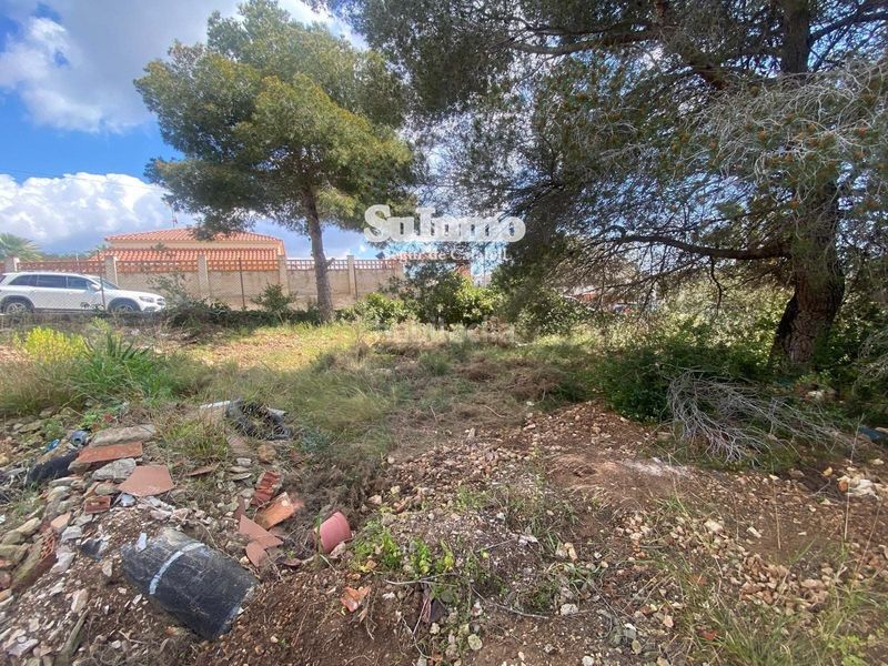 Foto 98ab8614-4f6f-4d74-b16e-937d47556984. Finca rústica a Valldemar-Montmar Segur de Calafell