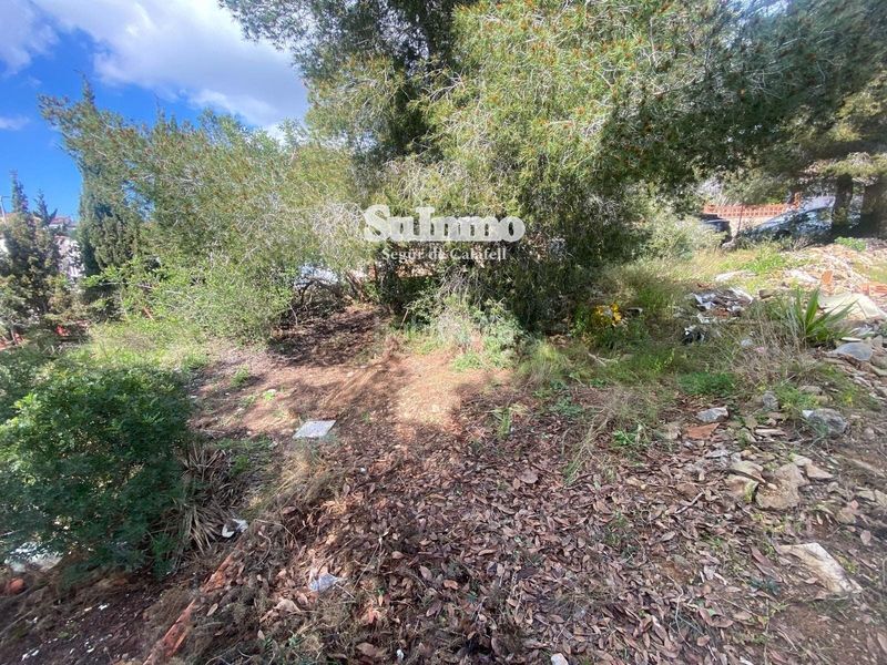 Foto d9179769-96e9-4e19-8f6d-4e7ad9ba436d. Finca rústica a Valldemar-Montmar Segur de Calafell