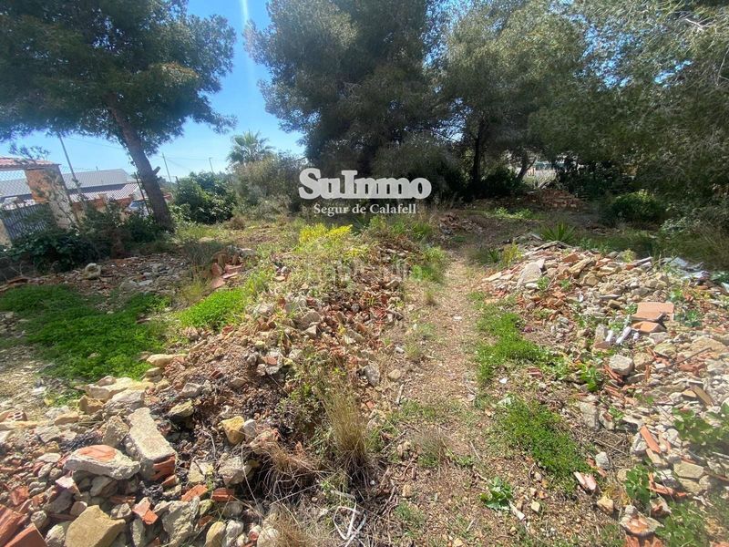 Foto e1278c36-3611-41e1-90ab-35181d2962c9. Finca rústica a Valldemar-Montmar Segur de Calafell