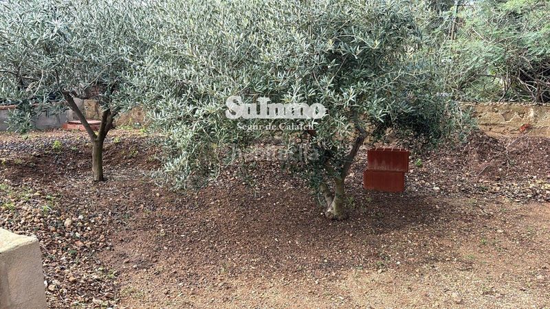 Foto 6297a68a-7cf9-4a10-9a18-5a9c691a72e7. Finca rústica a Valldemar-Montmar Segur de Calafell
