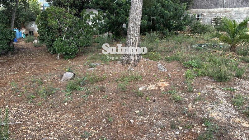 Foto 74d5c8c0-9eb4-471b-880e-af4518c78662. Finca rústica a Valldemar-Montmar Segur de Calafell