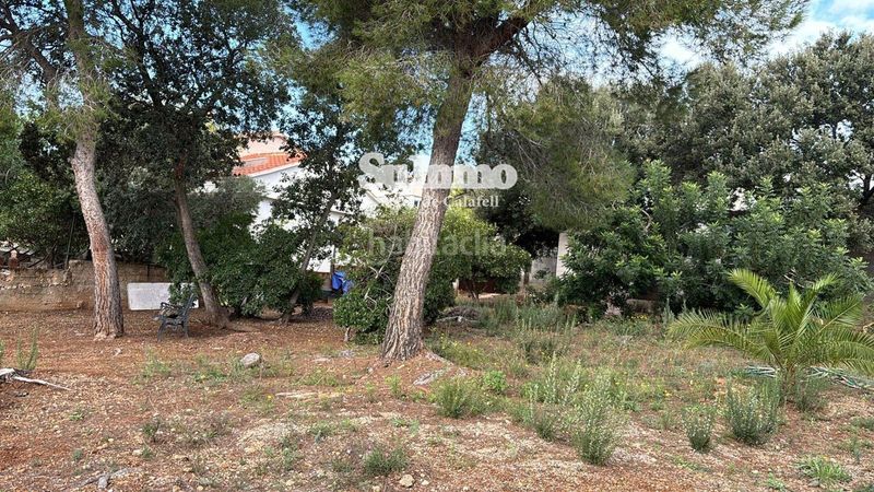 Foto 8a411cec-4239-4c30-a4c6-55599ac15565. Finca rústica a Valldemar-Montmar Segur de Calafell