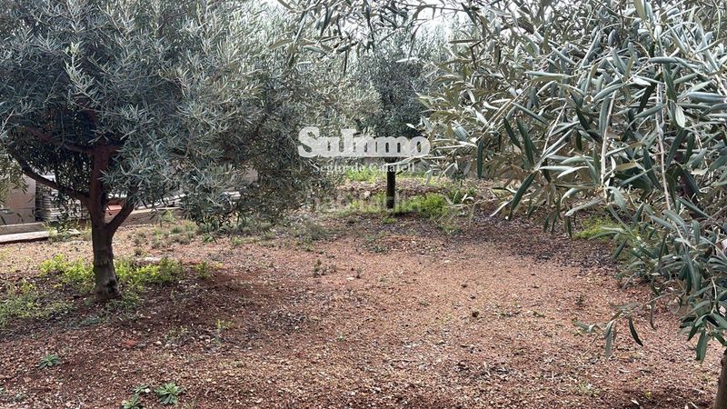 Foto a1106aad-598a-4d1f-a21e-6f09532cd4a5. Finca rústica a Valldemar-Montmar Segur de Calafell