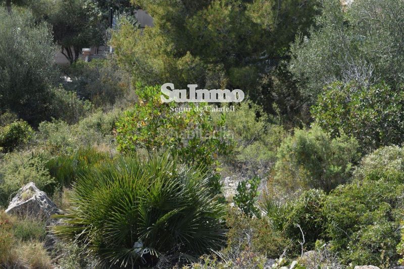 Foto 01077e36-659e-4b1f-9607-f95c496add8b. Finca rústica a Segur de dalt Segur de Calafell