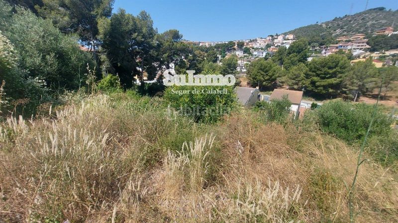 Foto 32e4fbe8-c03e-4687-9a01-9be706c82f01. Finca rústica a Segur de Calafell nucli urbà Segur de Calafell
