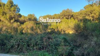 Landgut  Xavier montsalvatge  en  mas romeu. Estupendo solar para empezar la casa de tus sueños!