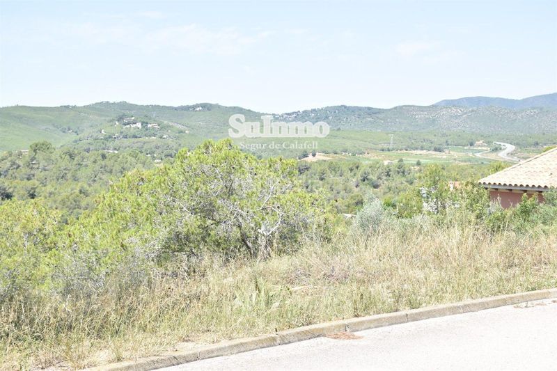 Foto 7e578a49-f3b5-450b-8425-556214f965a7. Finca rústica a Bisbal del Penedès (La)