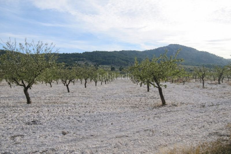 Foto 0eaebe95-0df3-4044-86f0-f4037cd49cd1. Casa a n/a a Salinas