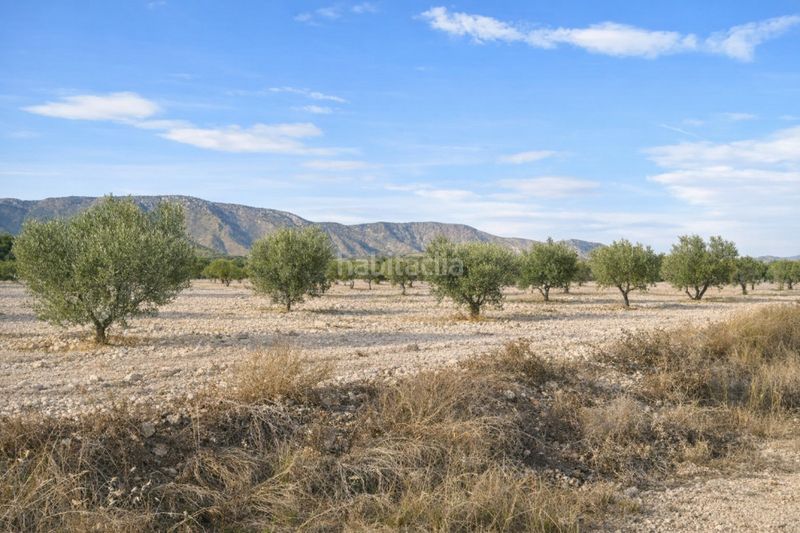 Foto 4528a8f8-3f93-488b-9f21-679eb871daa5. Casa a n/a a Salinas