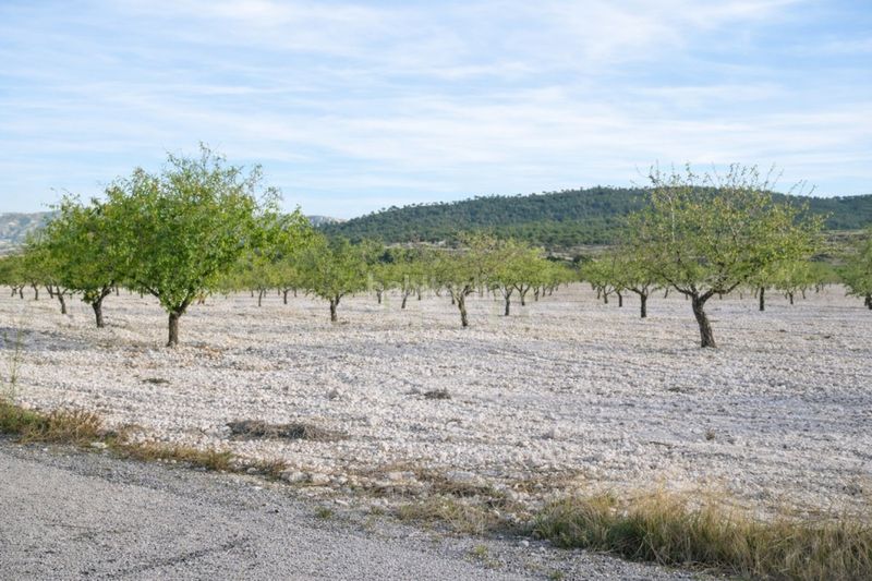 Foto 6e29cd9b-805e-47d9-a900-a3a60d95a840. Casa a n/a a Salinas