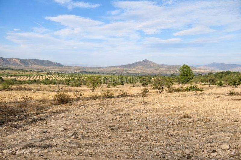 Foto d09c09dc-fcd9-4126-8842-3a6b0e5b7c26. Casa a n/a a Salinas