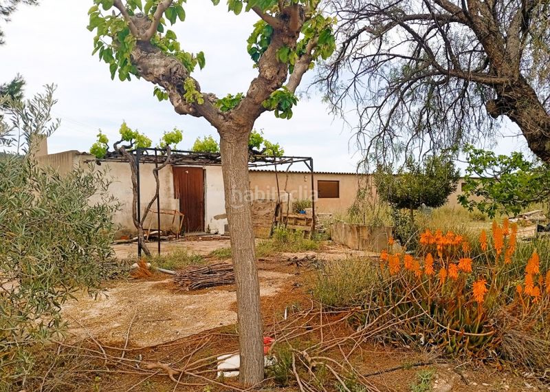 Foto d552a4aa-cd57-4244-a952-832fcdf9754f. Pis a n/a a Salinas