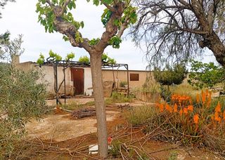 Etagenwohnung  N/a. Investment opportunity in salinas 120m building with olive grove