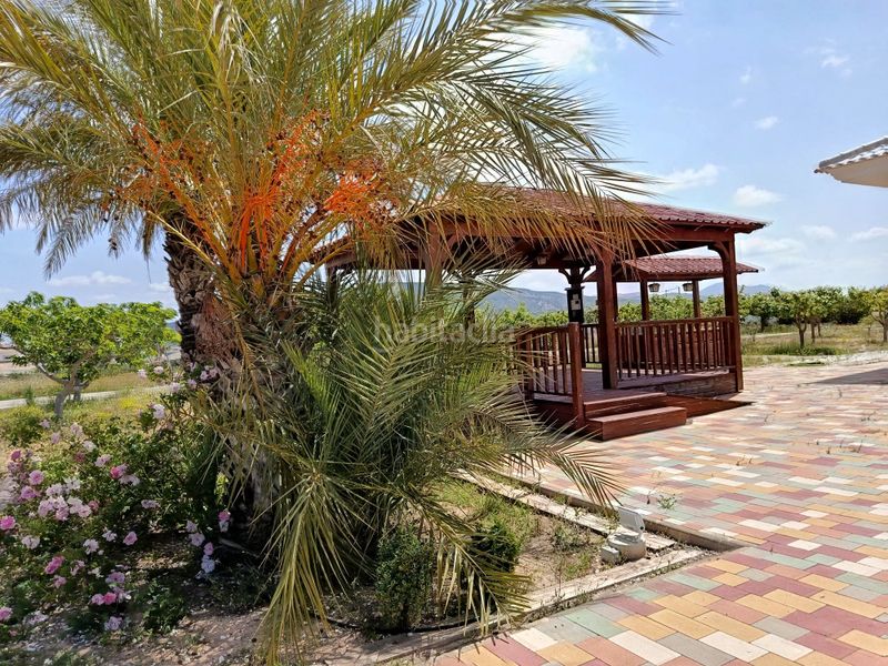 Foto fea30712-b727-40b2-af56-9b910ec6f6cc. Casa a n/a a Pinoso