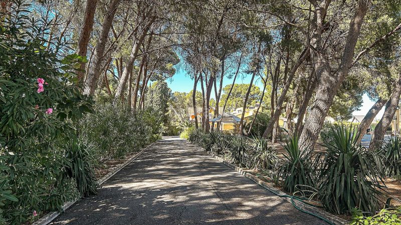 Foto 4619ebbb-3fc5-4d37-bb25-55d95c9ed5c8. Casa a Yecla