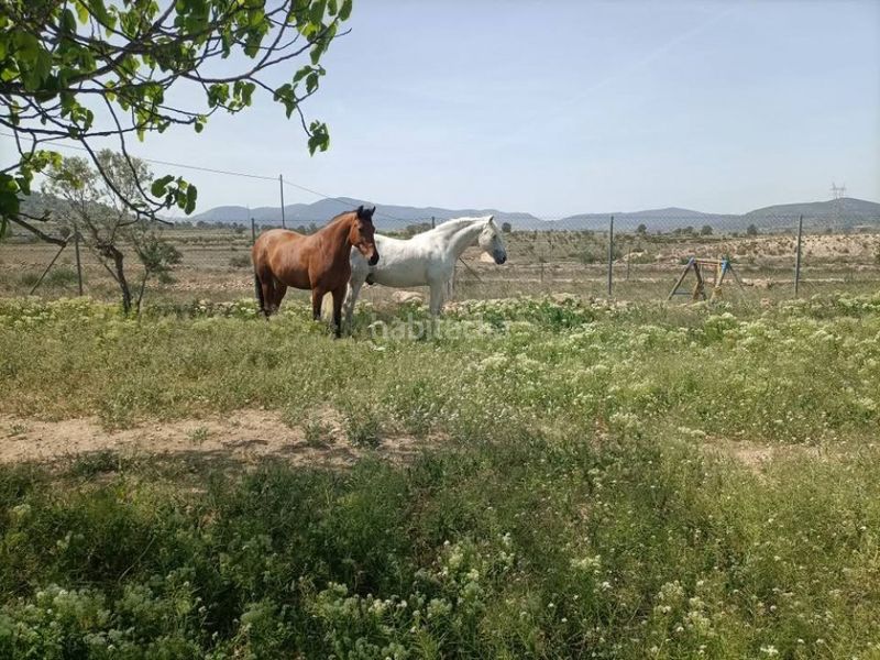 Foto 403643f9-c7f4-4517-b7f4-b94bed38addf. Maison dans Monòver