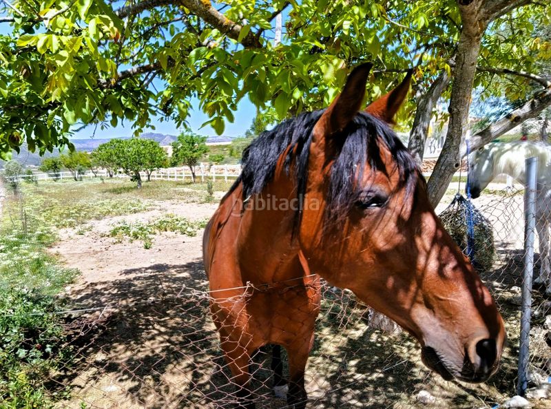 Foto 517ee994-214b-4a38-b807-0528e5d87380. Maison dans Monòver