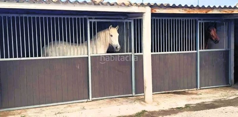 Foto 604ee921-3358-4e10-bd52-4854acd880ed. Maison dans Monòver