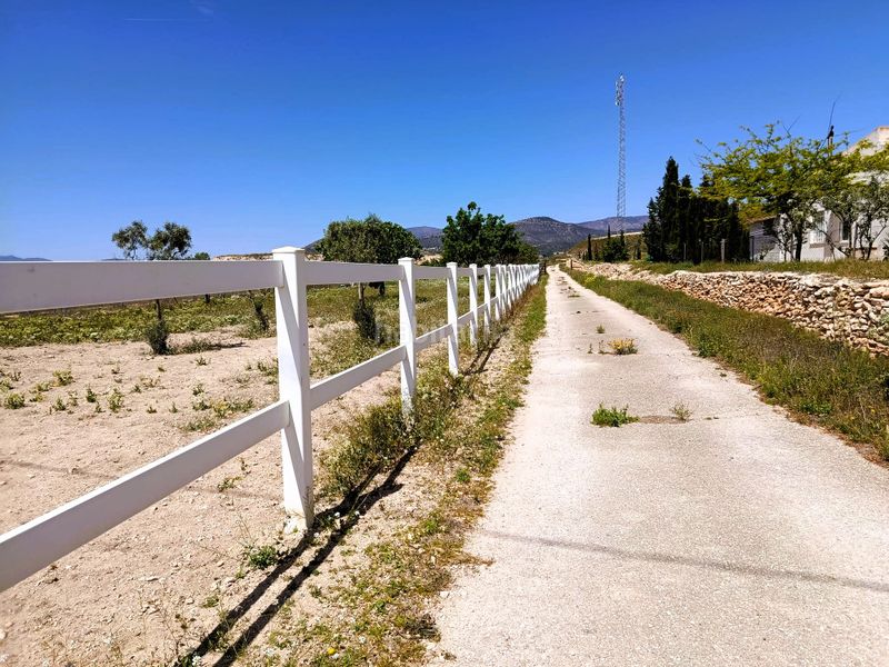 Foto 6cca7696-2b02-4147-b937-4ec989fe423c. Maison dans Monòver