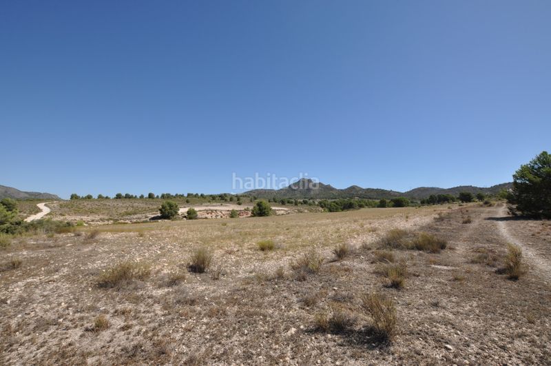 Foto 3c07e528-d86b-4045-bef7-a18f80320954. Terreny residencial a n/a a Salinas