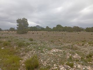 Residential Plot in N/a. Alto ideal  your visionary project in salinas alicante