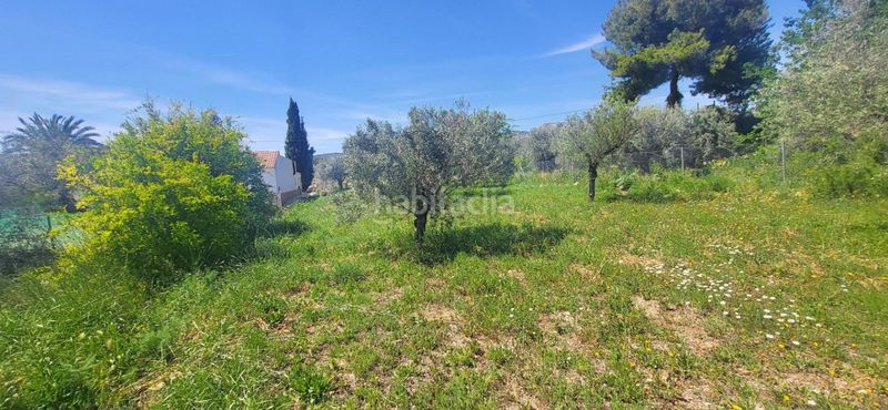 Foto 868f6ad3-9969-40b8-99dd-0366be402f1a. Casa a n/a a Romana (la)