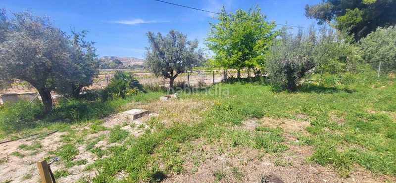 Foto ba42373e-d3eb-4c43-9e02-5508d3d49e16. Casa a n/a a Romana (la)