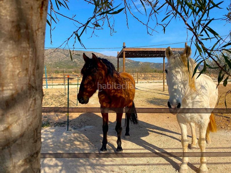 Foto c08f08fe-d6de-4cbe-a2be-cb2263382f77. Casa a n/a a Pinoso