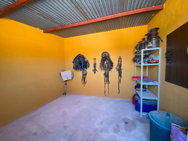 Foto ccf2e2c2-c598-4367-84d3-e16f2f33f153. Casa a n/a a Pinoso