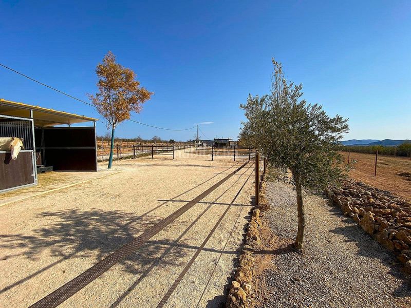 Foto f29d55da-2c9e-413c-93f4-265c7df7be36. Casa a n/a a Pinoso