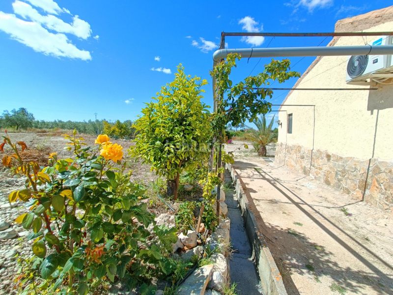 Foto db87f469-56cd-42c1-950a-6eba990c6342. Casa en n/a villa in en Abanilla