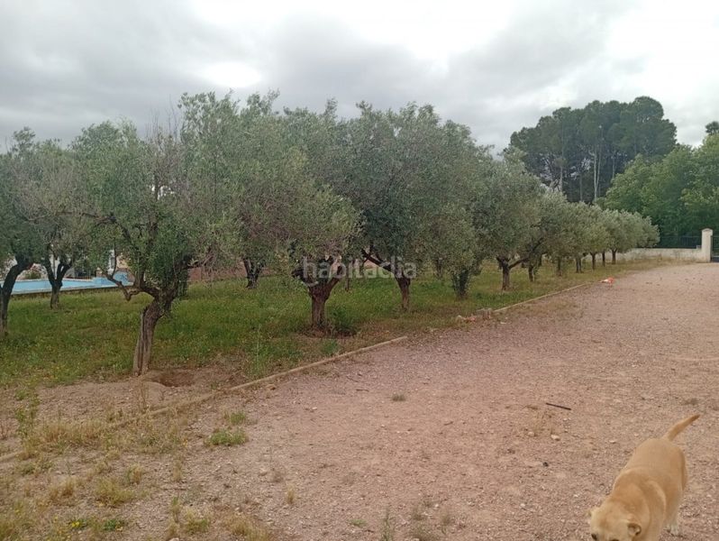 Foto 8542b087-ca25-4e2a-b16e-42f74d23a129. Pis a n/a a Salinas