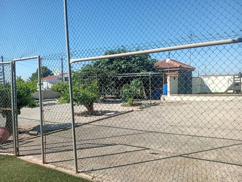 Foto bfd74a38-8ad0-4690-ba14-e6291e6a53d0. Pis a n/a a Crevillente