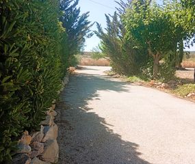 Appartamento  N/a. Spacious country house in monóvar with heated pool, solar income