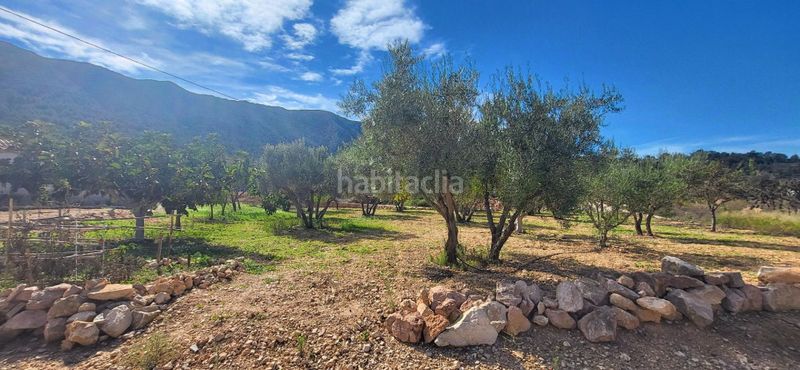 Foto d517b417-09d7-4271-924b-81e6d7c1c0e5. Casa a n/a a Romana (la)