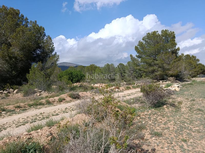 Foto 3d4f4f23-8b9b-4526-b40e-9a8b534ed9d1. Terreny residencial a n/a a Monòver