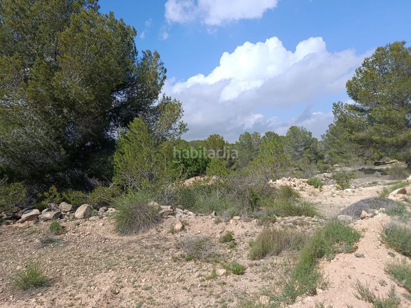 Foto 5605cc2c-ee74-4971-b099-6d6751abfa09. Terreny residencial a n/a a Monòver