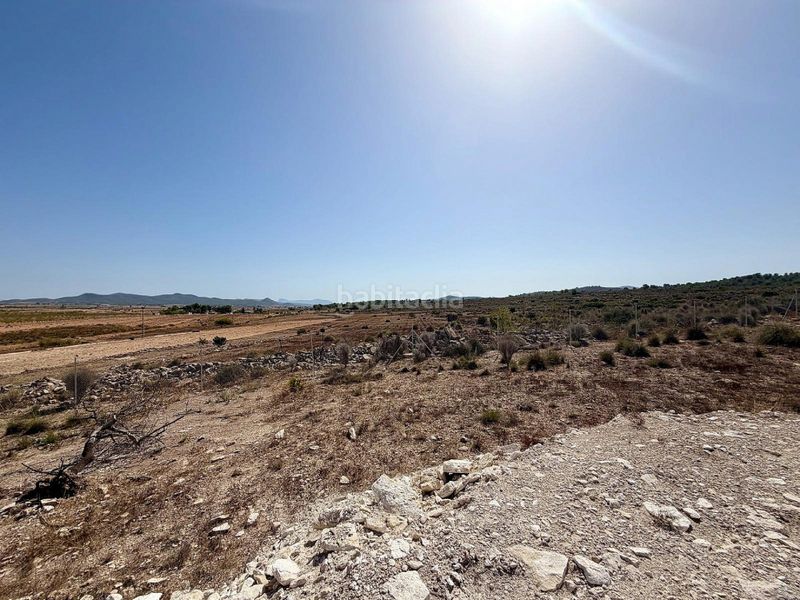 Foto f68ff229-3fe9-4820-a497-b00023d3a3ed. Terreno residenziale in n/a in Pinoso