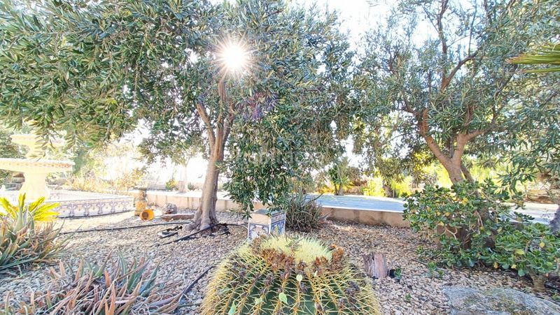 Foto 2773db6a-5c52-422b-811d-0e249f615727. Casa a n/a a Romana (la)