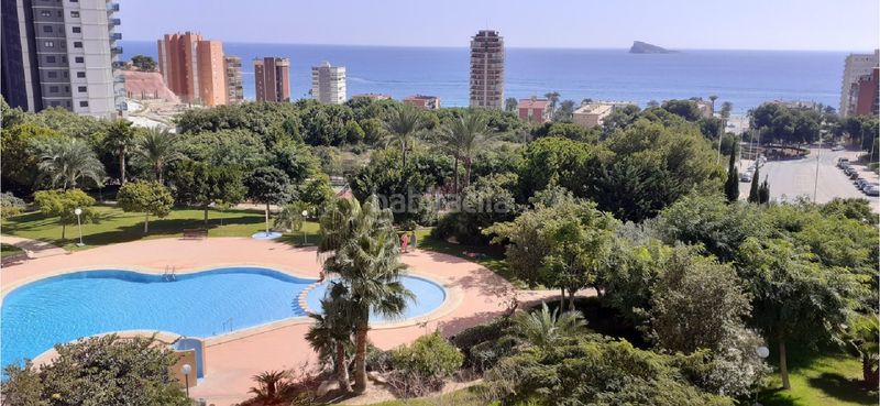 Foto 19cf3efd-35c2-40d9-8a34-88daabe9fa67. Apartament amb calefacció aparcament piscina a Playa Poniente Benidorm