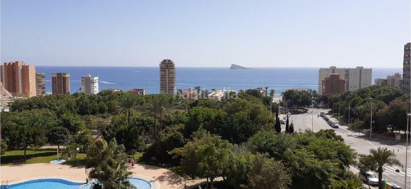 Foto 8b1af521-c2d1-4061-ae0e-50d2e51123c8. Apartament amb calefacció aparcament piscina a Playa Poniente Benidorm
