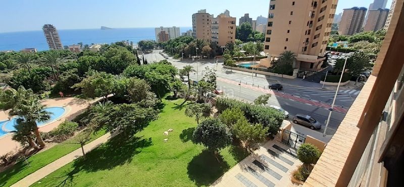 Foto 9ef26231-dfe1-4e80-9ae0-7ae6081b3472. Apartament amb calefacció aparcament piscina a Playa Poniente Benidorm